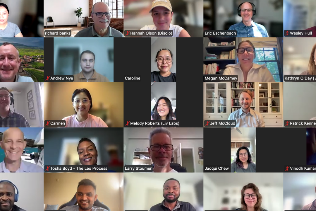 Zoom networking session — Healthcare Entrepreneur Meetup, April 15